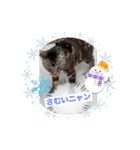 フィガロ＆チロル 2（個別スタンプ：2）