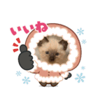 フィガロ＆チロル 2（個別スタンプ：13）