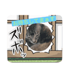 フィガロ＆チロル 2（個別スタンプ：14）
