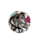 動くじゃすたんぷ（個別スタンプ：1）