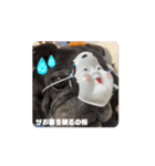 動くじゃすたんぷ（個別スタンプ：2）