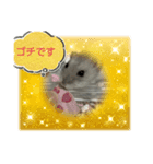 ハムスタイル01（個別スタンプ：3）