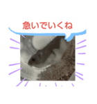 ハムスタイル01（個別スタンプ：4）