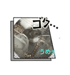ハムスタイル01（個別スタンプ：5）