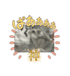ハムスタイル01（個別スタンプ：7）