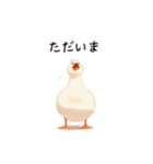 ぽってりアヒルの日常会話（個別スタンプ：4）