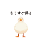 ぽってりアヒルの日常会話（個別スタンプ：7）