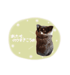 F☺︎（個別スタンプ：9）