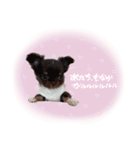 F☺︎（個別スタンプ：10）