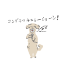 CHECK＆STRIPE クルちゃんの日常（個別スタンプ：7）