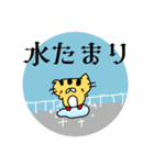 薄毛猫のコモンくん（外出あるある編）（個別スタンプ：7）