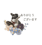 鍵しっぽのlala♩第二弾（個別スタンプ：34）