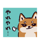 柴犬です.（個別スタンプ：10）