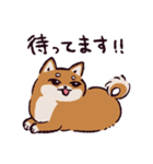 柴犬です.（個別スタンプ：32）