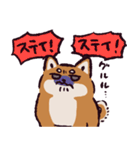 柴犬です.（個別スタンプ：35）