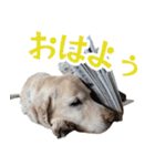 ボルトのスタンプ2（個別スタンプ：1）