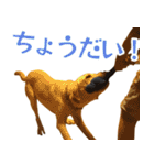 ボルトのスタンプ2（個別スタンプ：3）
