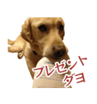 ボルトのスタンプ2（個別スタンプ：5）