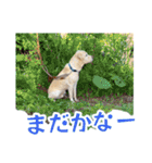 ボルトのスタンプ2（個別スタンプ：6）