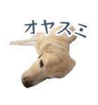 ボルトのスタンプ2（個別スタンプ：9）