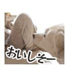 ボルトのスタンプ2（個別スタンプ：21）