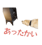 ボルトのスタンプ2（個別スタンプ：25）