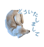 ボルトのスタンプ2（個別スタンプ：30）