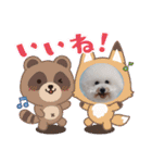 ♡おうち記念日♡Mintが家族になって1年！！（個別スタンプ：19）