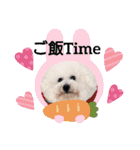♡おうち記念日♡Mintが家族になって1年！！（個別スタンプ：20）