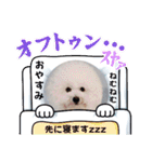 ♡おうち記念日♡Mintが家族になって1年！！（個別スタンプ：40）