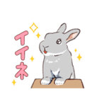 おこげとつみれ イラストver（個別スタンプ：22）