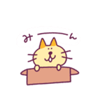 しましまのねこスタンプ（個別スタンプ：10）