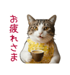 お母さん猫【毎日】（個別スタンプ：3）