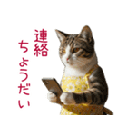 お母さん猫【毎日】（個別スタンプ：5）