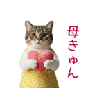 お母さん猫【毎日】（個別スタンプ：23）