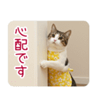 お母さん猫【毎日】（個別スタンプ：39）