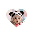 キュートな仔猫ちゃん（個別スタンプ：1）