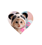 キュートな仔猫ちゃん（個別スタンプ：8）