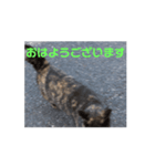 焦げちゃん ちびちゃんのあいさつ（個別スタンプ：1）