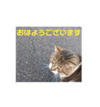 焦げちゃん ちびちゃんのあいさつ（個別スタンプ：2）