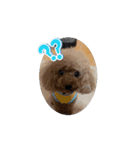 ワンさん達（個別スタンプ：7）