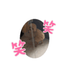 ワンさん達（個別スタンプ：14）