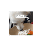 うーさんの動くスタンプ（個別スタンプ：3）