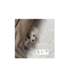 うーさんの動くスタンプ（個別スタンプ：12）