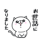 きらきらつかねこ。敬語（個別スタンプ：34）