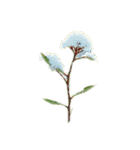 植物も生きてる（個別スタンプ：23）