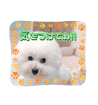 Mintでお仕事・パパ用スタンプ（個別スタンプ：3）