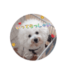 Mintでお仕事・パパ用スタンプ（個別スタンプ：4）