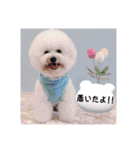Mintでお仕事・パパ用スタンプ（個別スタンプ：5）