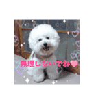 Mintでお仕事・パパ用スタンプ（個別スタンプ：6）